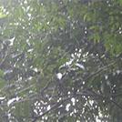 img01