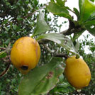 img01