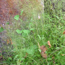 img01
