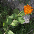 img01