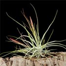 img01