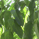 img01