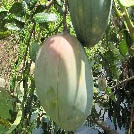 img01