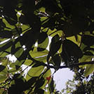 img01