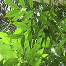 img01