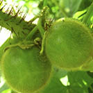 img01
