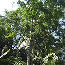 img01