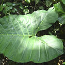 img01