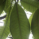 img01