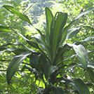 img01