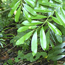 img01